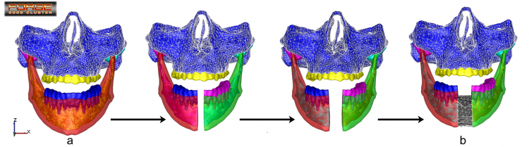 biomateriaux_simu.png
