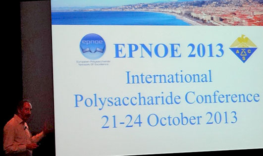 epnoe_conf2013.jpg